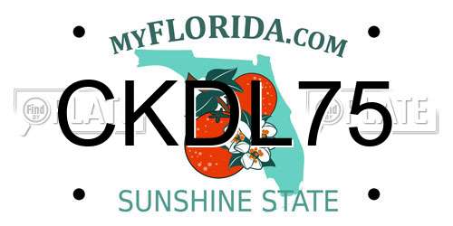 CKDL75 Florida License Plate