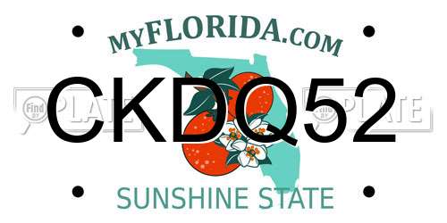 CKDQ52 Florida License Plate