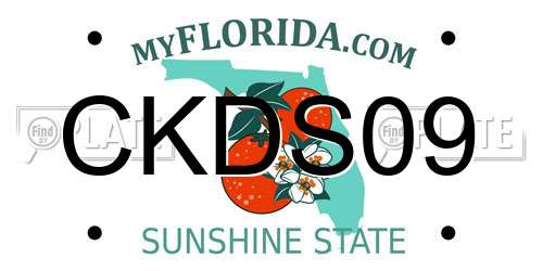 CKDS09 Florida License Plate