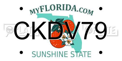 CKDV79 Florida License Plate