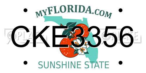 CKE3356 Florida License Plate