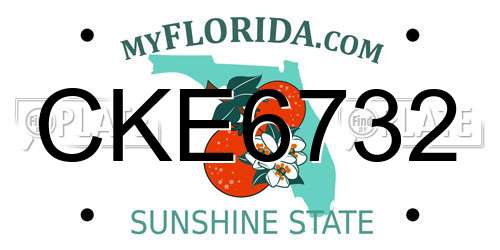 CKE6732 Florida License Plate