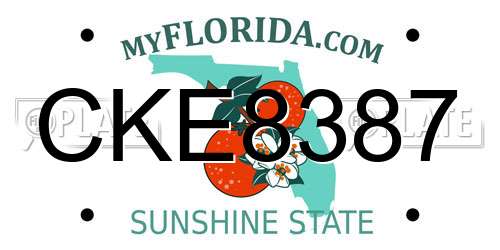 CKE8387 Florida License Plate