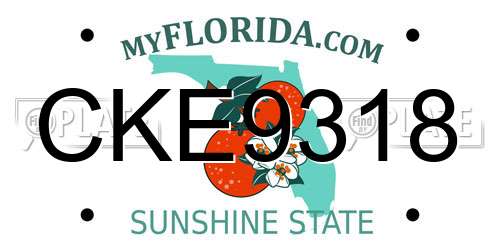 CKE9318 Florida License Plate
