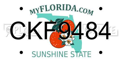 CKF9484 Florida License Plate