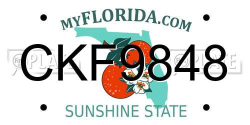 CKF9848 Florida License Plate