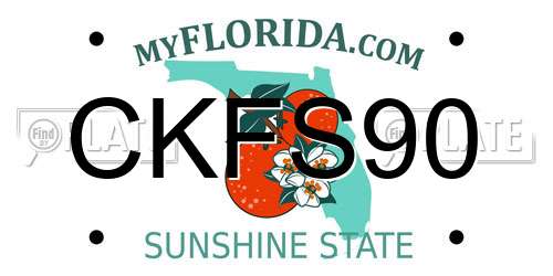 CKFS90 Florida License Plate
