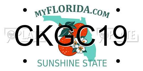 CKGC19 Florida License Plate