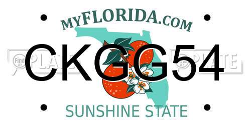 CKGG54 Florida License Plate
