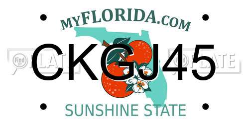 CKGJ45 Florida License Plate