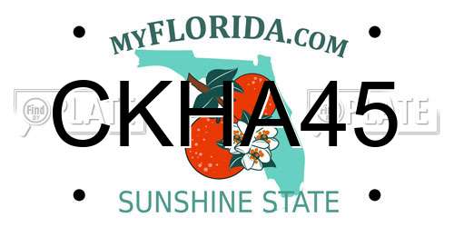 CKHA45 Florida License Plate