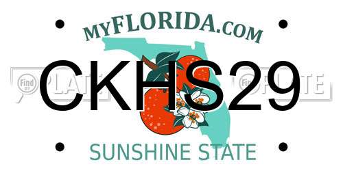 CKHS29 Florida License Plate