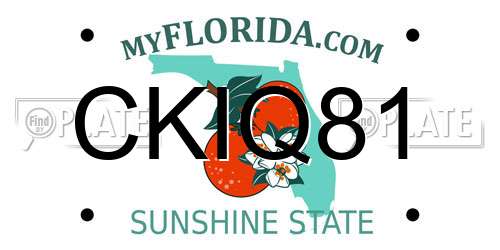 CKIQ81 Florida License Plate