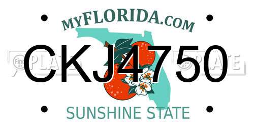 CKJ4750 Florida License Plate