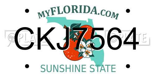 CKJ7564 Florida License Plate