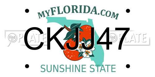 CKJJ47 Florida License Plate