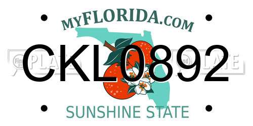CKL0892 Florida License Plate