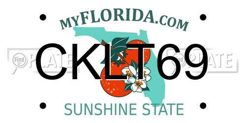 CKLT69 Florida License Plate