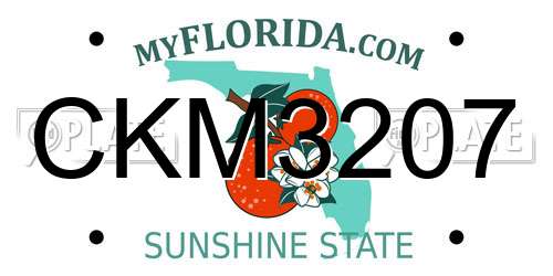 CKM3207 Florida License Plate