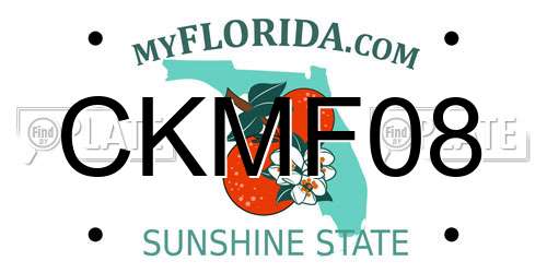 CKMF08 Florida License Plate