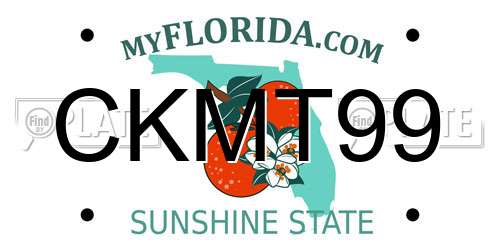 CKMT99 Florida License Plate