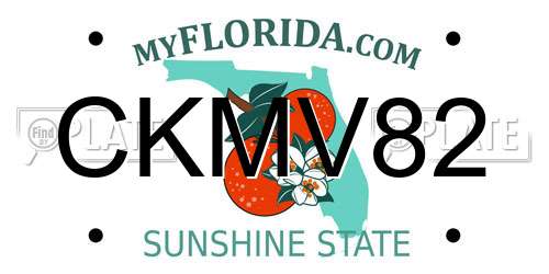 CKMV82 Florida License Plate