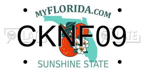 CKNF09 Florida License Plate