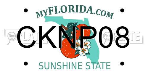 CKNP08 Florida License Plate