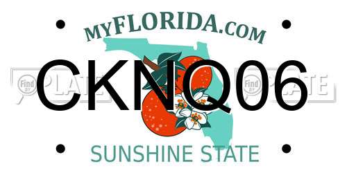 CKNQ06 Florida License Plate
