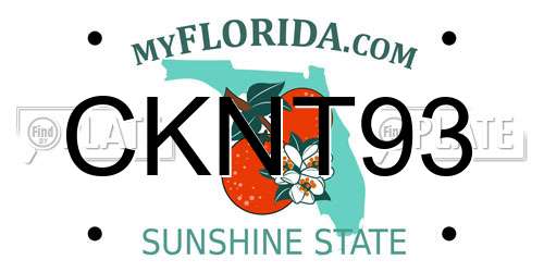 CKNT93 Florida License Plate
