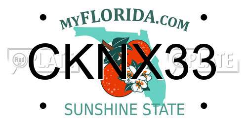 CKNX33 Florida License Plate