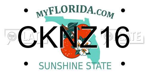 CKNZ16 Florida License Plate