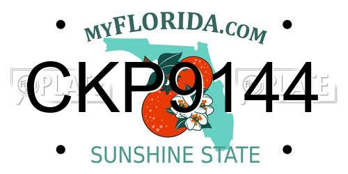 CKP9144 Florida License Plate