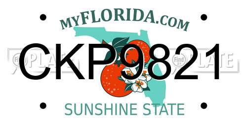 CKP9821 Florida License Plate