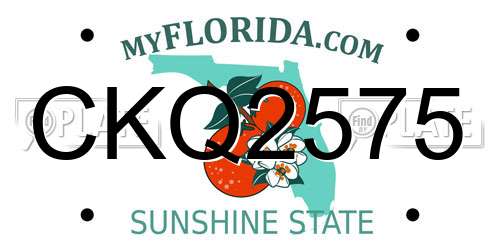 CKQ2575 Florida License Plate