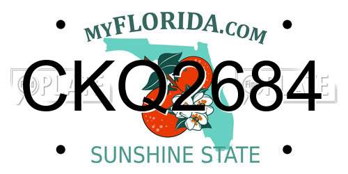 CKQ2684 Florida License Plate