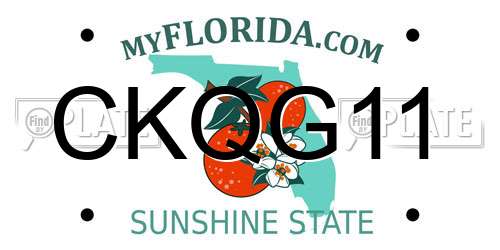 CKQG11 Florida License Plate