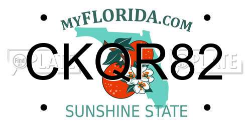 CKQR82 Florida License Plate