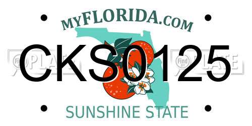 CKS0125 Florida License Plate