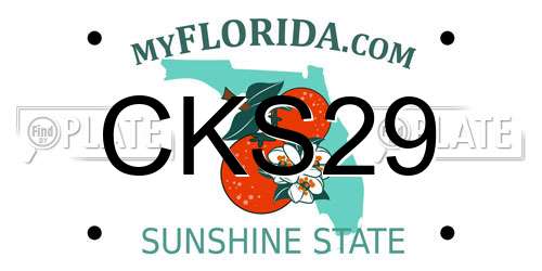 CKS29 Florida License Plate