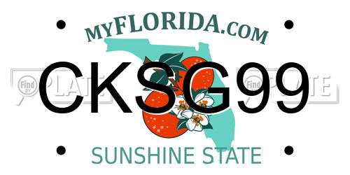 CKSG99 Florida License Plate