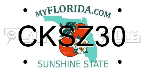 CKSZ30 Florida License Plate