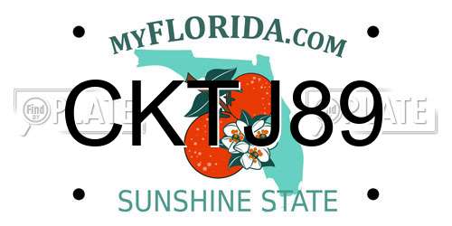 CKTJ89 Florida License Plate
