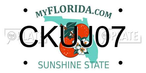 CKUJ07 Florida License Plate