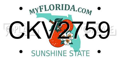 CKV2759 Florida License Plate