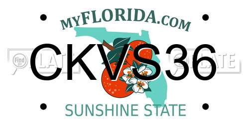 CKVS36 Florida License Plate