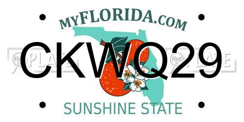 CKWQ29 Florida License Plate