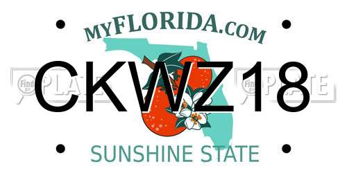 CKWZ18 Florida License Plate