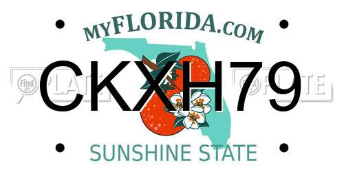 CKXH79 Florida License Plate