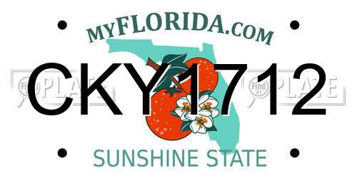 CKY1712 Florida License Plate